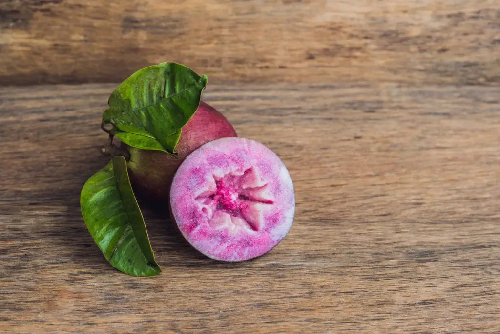 37 frutas que comienzan con S y provocan infinitas aventuras de refrigerios 37 frutas que comienzan con S y provocan infinitas aventuras de refrigerios