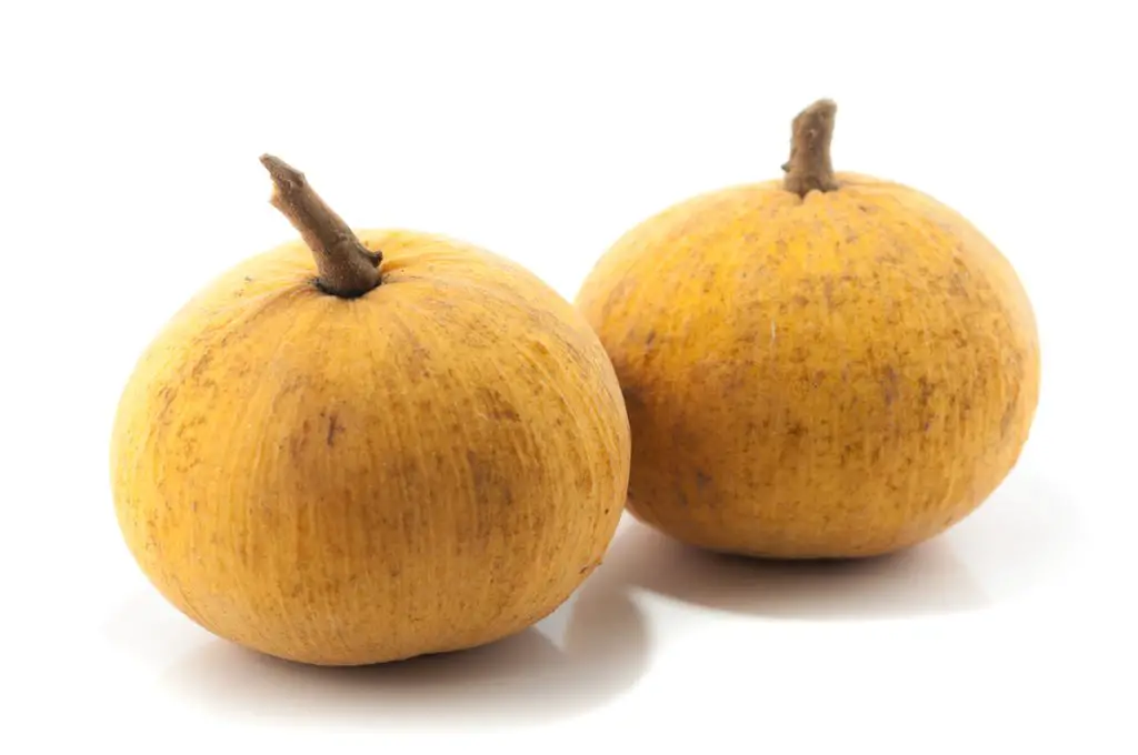 37 frutas que comienzan con S y provocan infinitas aventuras de refrigerios 37 frutas que comienzan con S y provocan infinitas aventuras de refrigerios