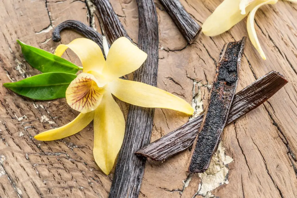 15 frutas que comienzan con V que te harán decir "¡Va-Va-Voom!" 15 frutas que comienzan con V que te harán decir "¡Va-Va-Voom!"