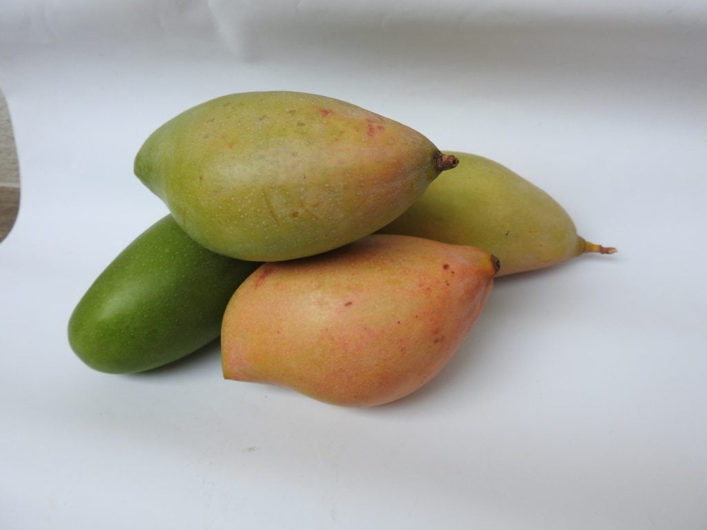 21 frutas que empiezan con T de las que todo el mundo habla 21 frutas que empiezan con T de las que todo el mundo habla