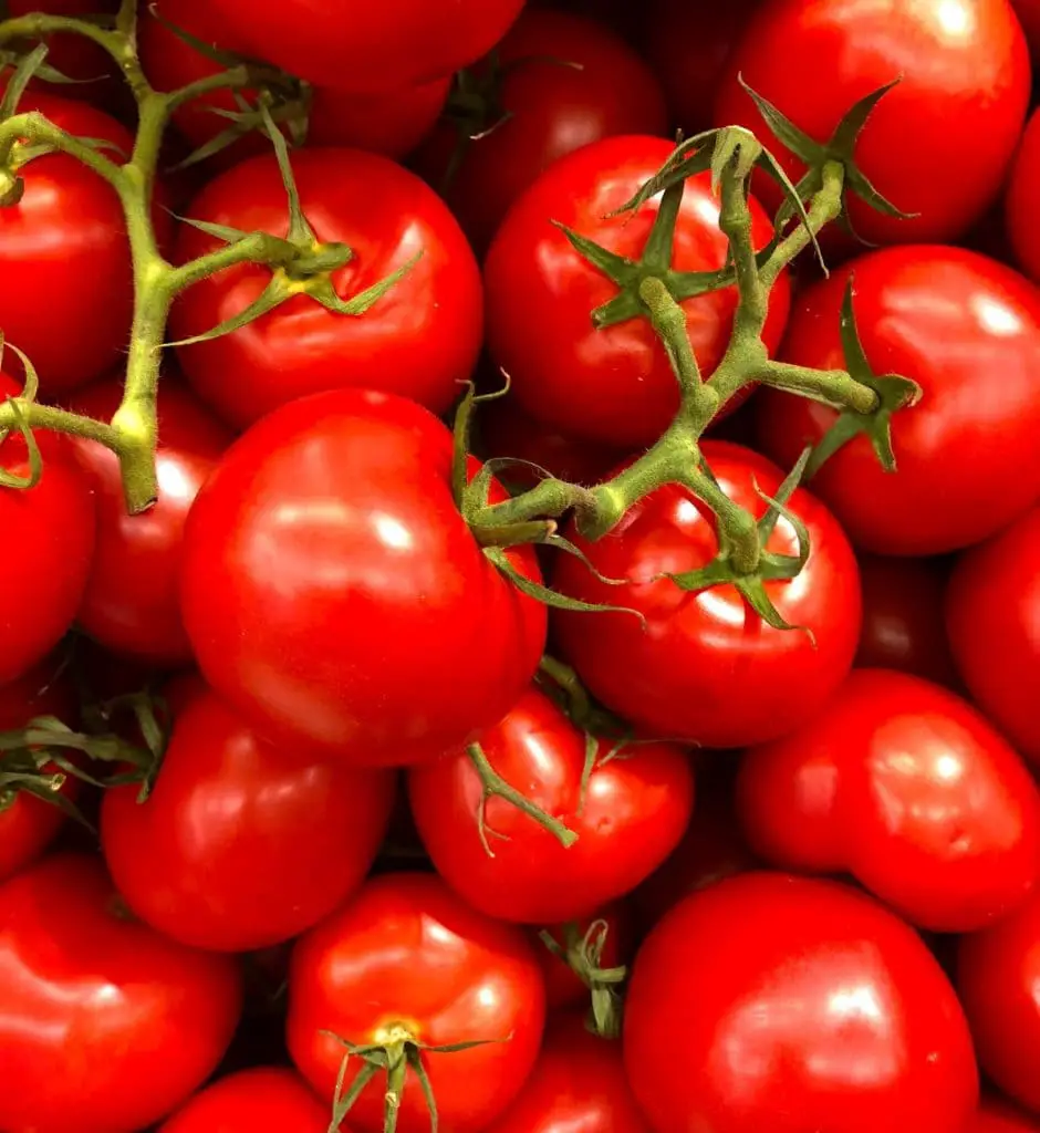 21 frutas que empiezan con T de las que todo el mundo habla 21 frutas que empiezan con T de las que todo el mundo habla