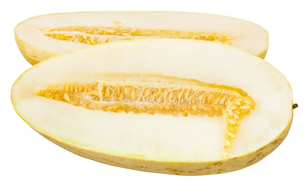 21 frutas que empiezan con T de las que todo el mundo habla 21 frutas que empiezan con T de las que todo el mundo habla