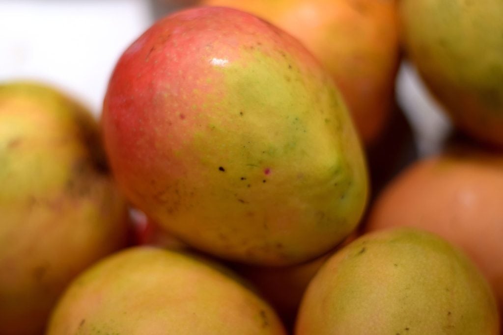 23 frutas que empiezan con “yo” y insisten en ser descubiertas 23 frutas que empiezan con “yo” y insisten en ser descubiertas