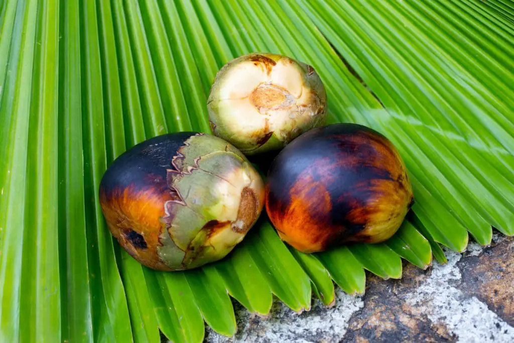 23 frutas que empiezan con “yo” y insisten en ser descubiertas 23 frutas que empiezan con “yo” y insisten en ser descubiertas