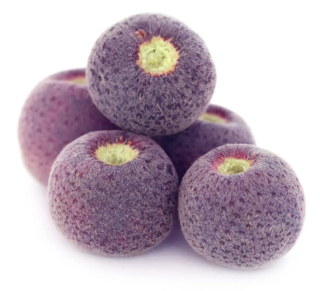 23 frutas que empiezan con “yo” y insisten en ser descubiertas 23 frutas que empiezan con “yo” y insisten en ser descubiertas