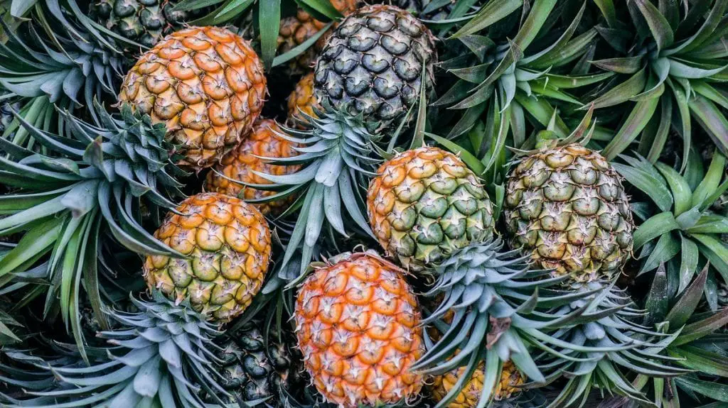 35 frutas que empiezan con P para llevar en tu cesta de picnic