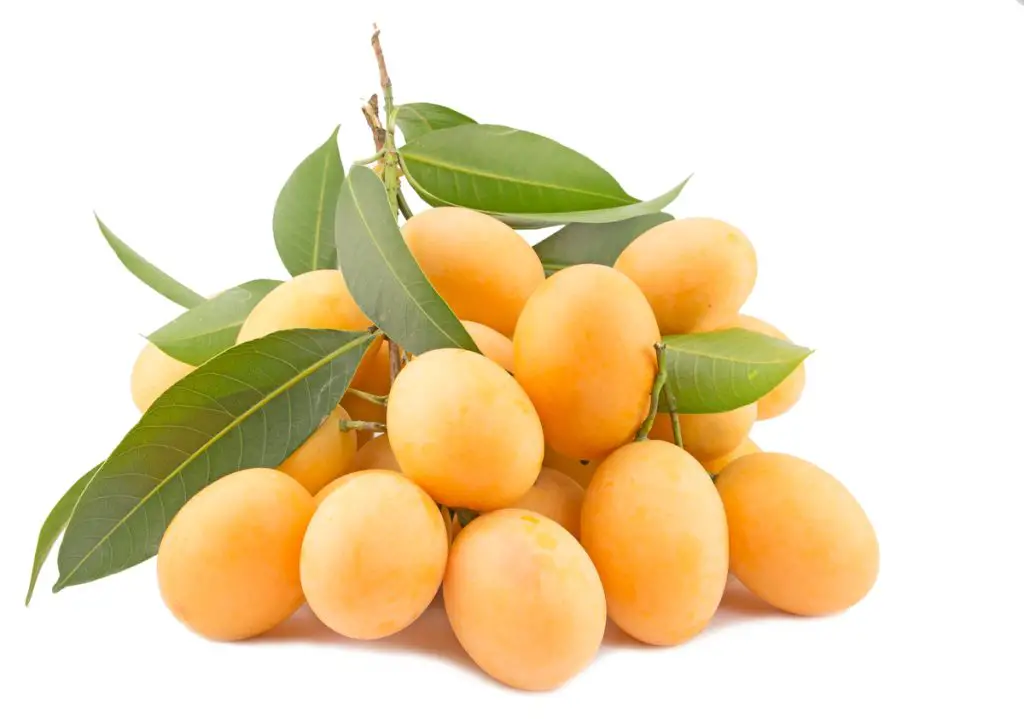 36 frutas que empiezan con M que debes comer absolutamente