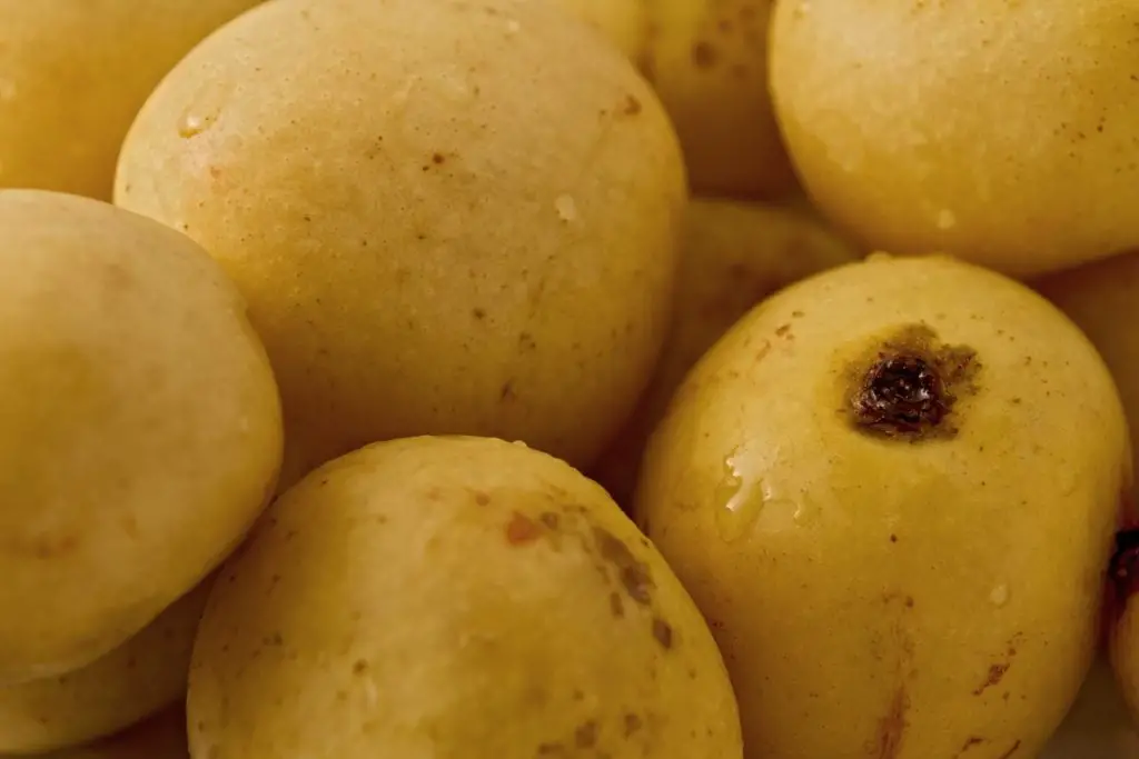 36 frutas que empiezan con M que debes comer absolutamente