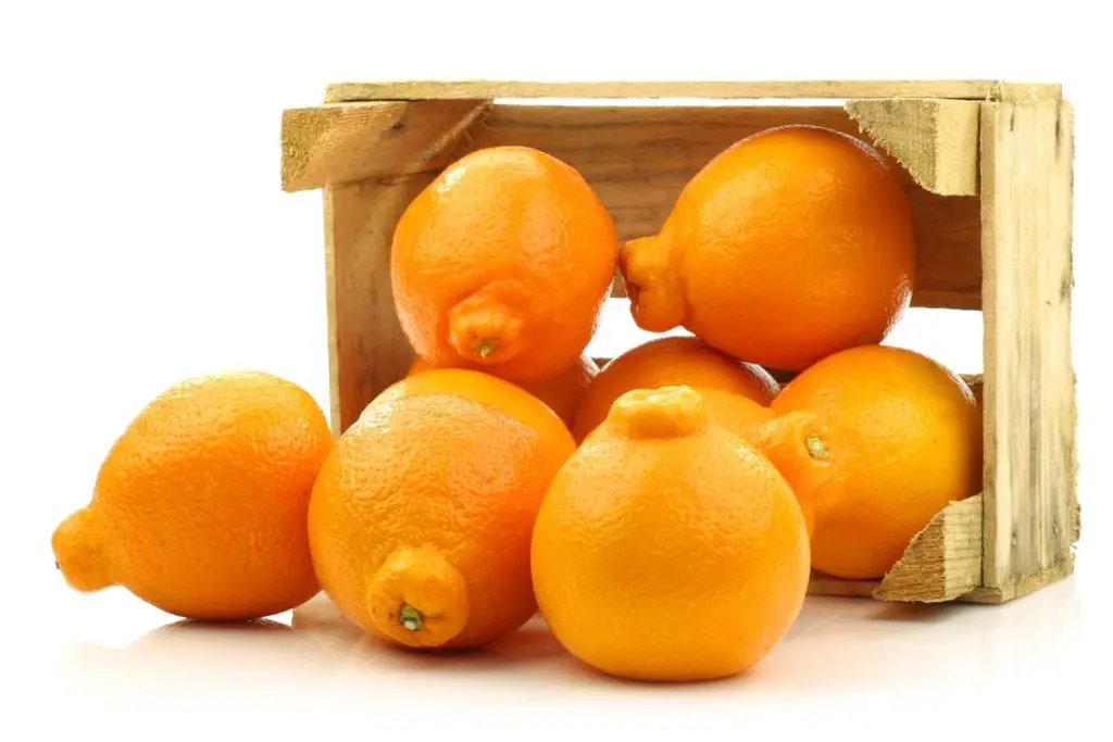 36 frutas que empiezan con M que debes comer absolutamente