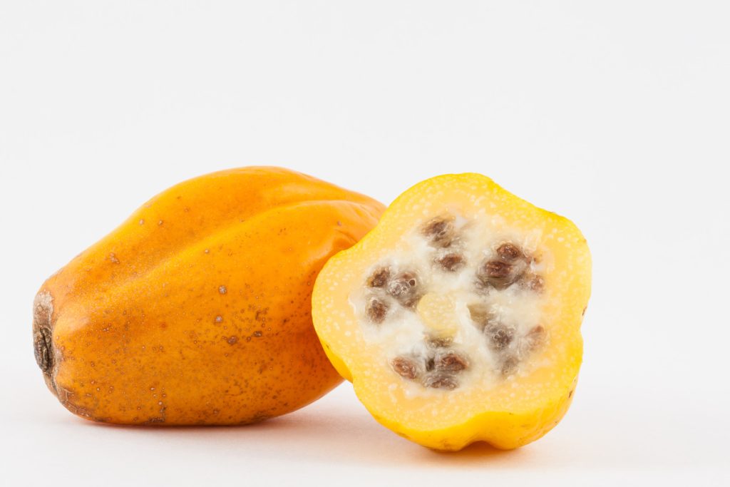 36 frutas que empiezan con M que debes comer absolutamente
