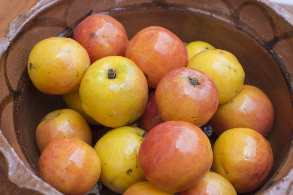 26 frutas que comienzan con J para agregar a tu lista de favoritos