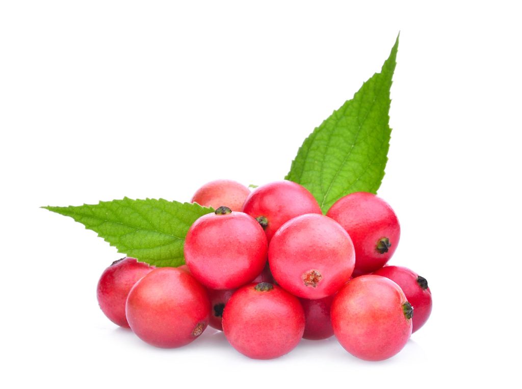 26 frutas que comienzan con J para agregar a tu lista de favoritos 26 frutas que comienzan con J para agregar a tu lista de favoritos