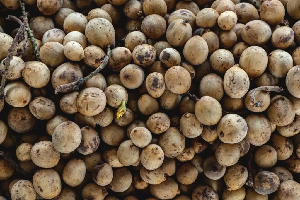 35 frutas que comienzan con L para hacerte decir "¡Yum!"