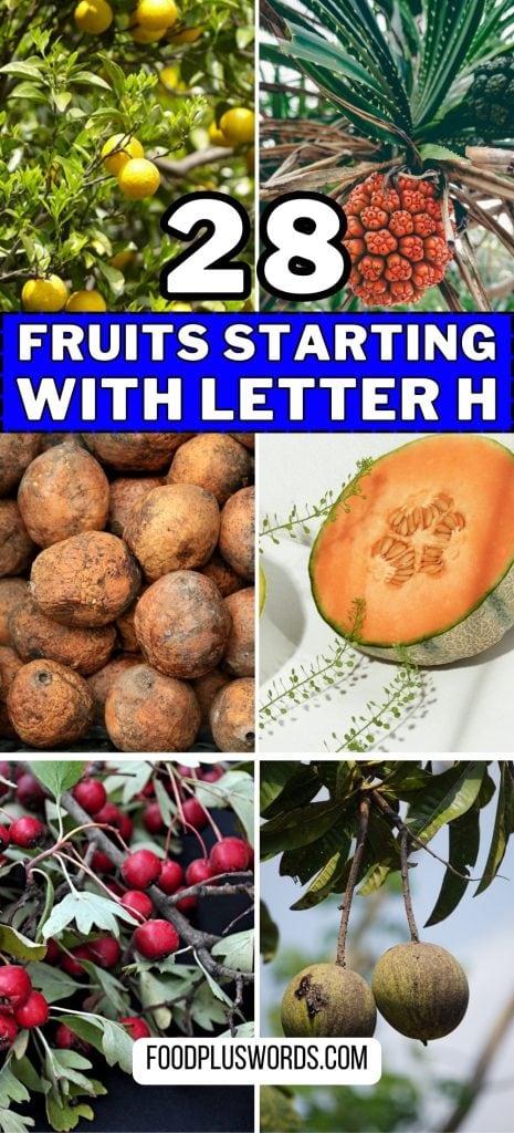 ¿Cuántas de estas frutas que empiezan con H has probado?