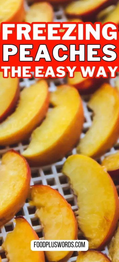 Cómo congelar melocotones secos en casa: 3 mejores formas Cómo congelar melocotones secos en casa: 3 mejores formas