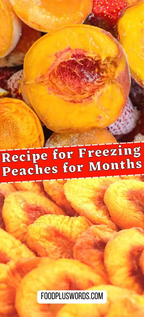 Cómo congelar melocotones secos en casa: 3 mejores formas Cómo congelar melocotones secos en casa: 3 mejores formas