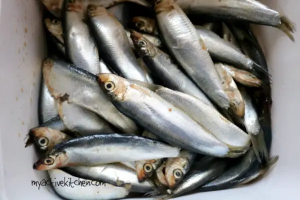 Eja yoyo, Eja Eko Eja yoyo, Eja Eko