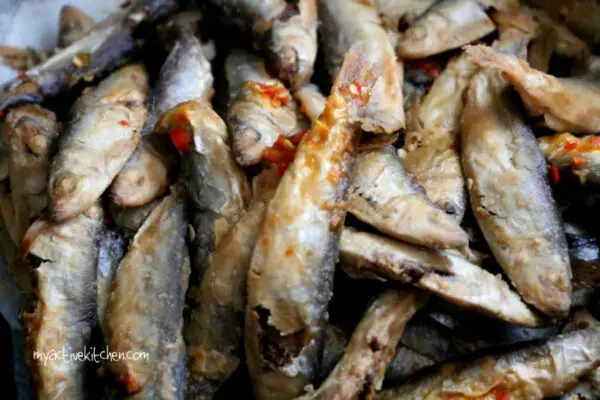 Eja yoyo, Eja Eko Eja yoyo, Eja Eko