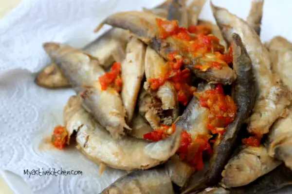 Eja yoyo, Eja Eko Eja yoyo, Eja Eko