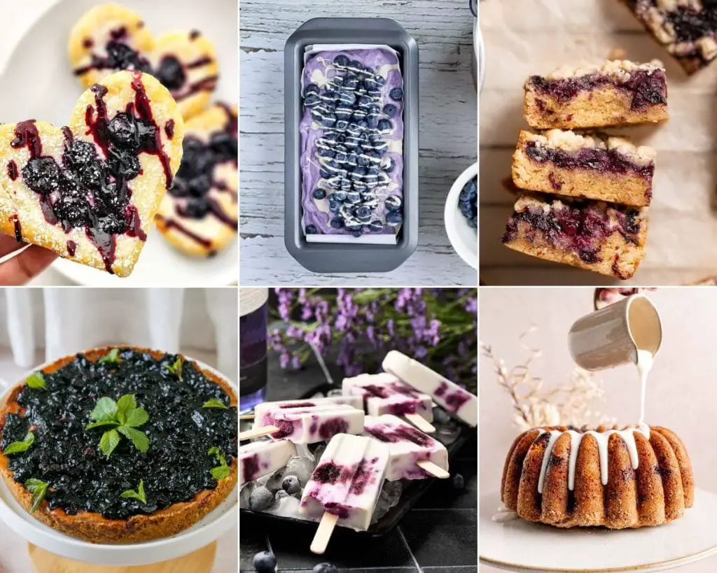27 recetas de arándanos que te harán sentir como un buen chef de frutos rojos 27 recetas de arándanos que te harán sentir como un buen chef de frutos rojos