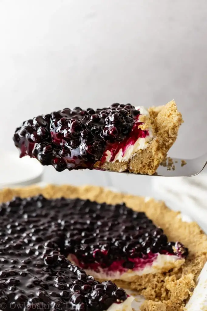 27 recetas de arándanos que te harán sentir como un buen chef de frutos rojos 27 recetas de arándanos que te harán sentir como un buen chef de frutos rojos