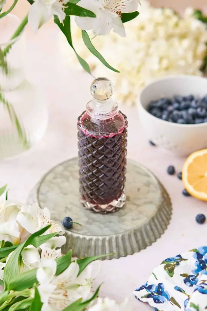 27 recetas de arándanos que te harán sentir como un buen chef de frutos rojos 27 recetas de arándanos que te harán sentir como un buen chef de frutos rojos