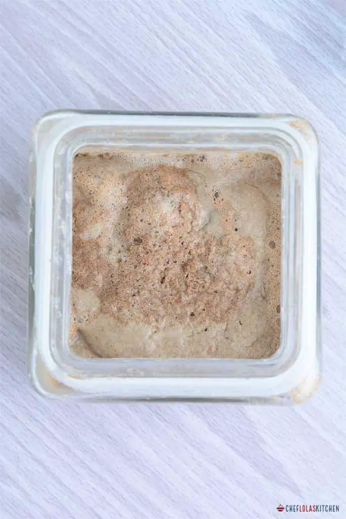 INJERA – Receta de Teff Injera 100% sin gluten INJERA – Receta de Teff Injera 100% sin gluten
