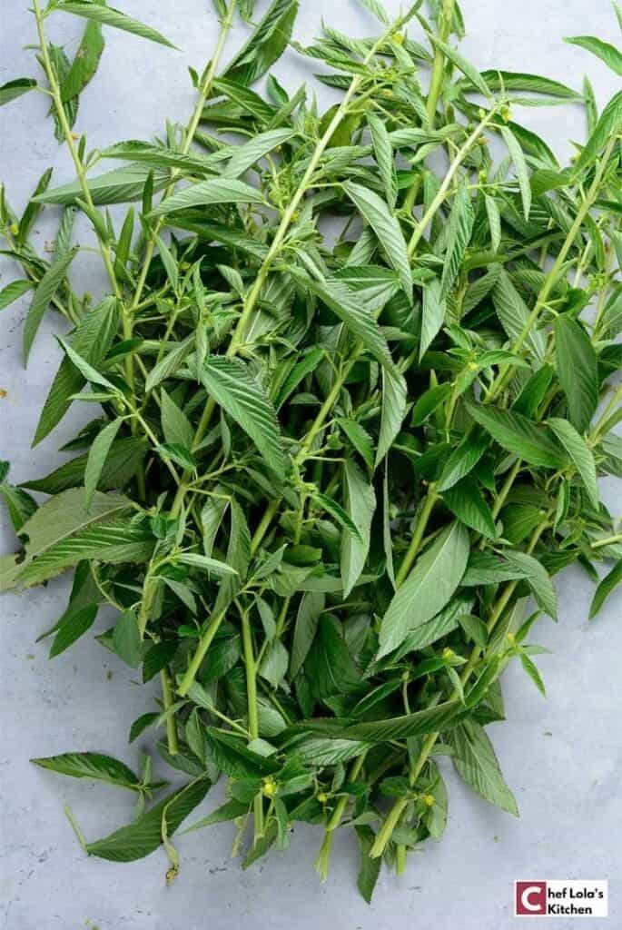 Ewedu – sopa de hojas de yute