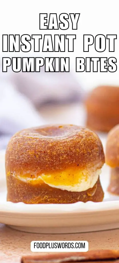 Receta instantánea de picaduras de calabaza Receta instantánea de picaduras de calabaza