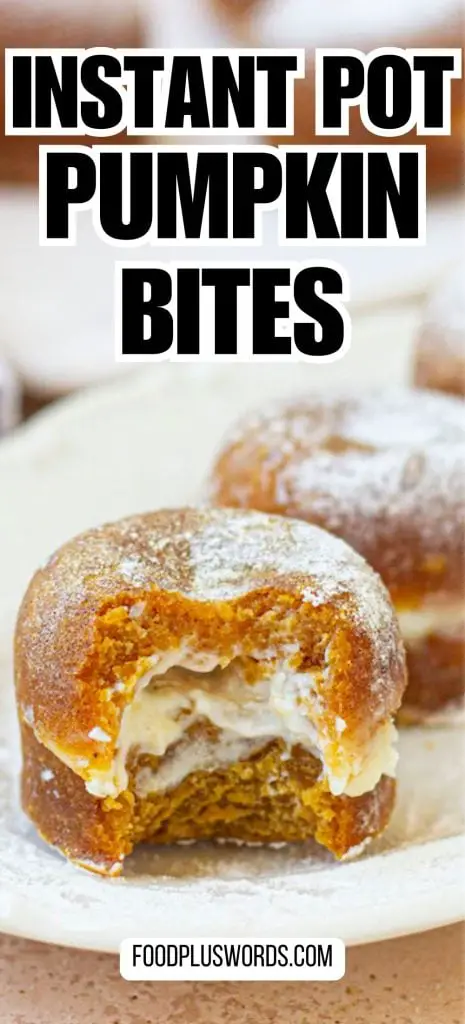 Receta instantánea de picaduras de calabaza Receta instantánea de picaduras de calabaza