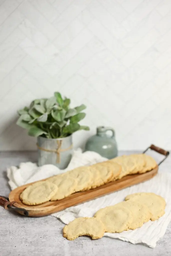 ¡Más de 30 mejores recetas de galletas de verano que son irresistiblemente buenas!