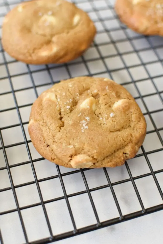 ¡Más de 30 mejores recetas de galletas de verano que son irresistiblemente buenas!