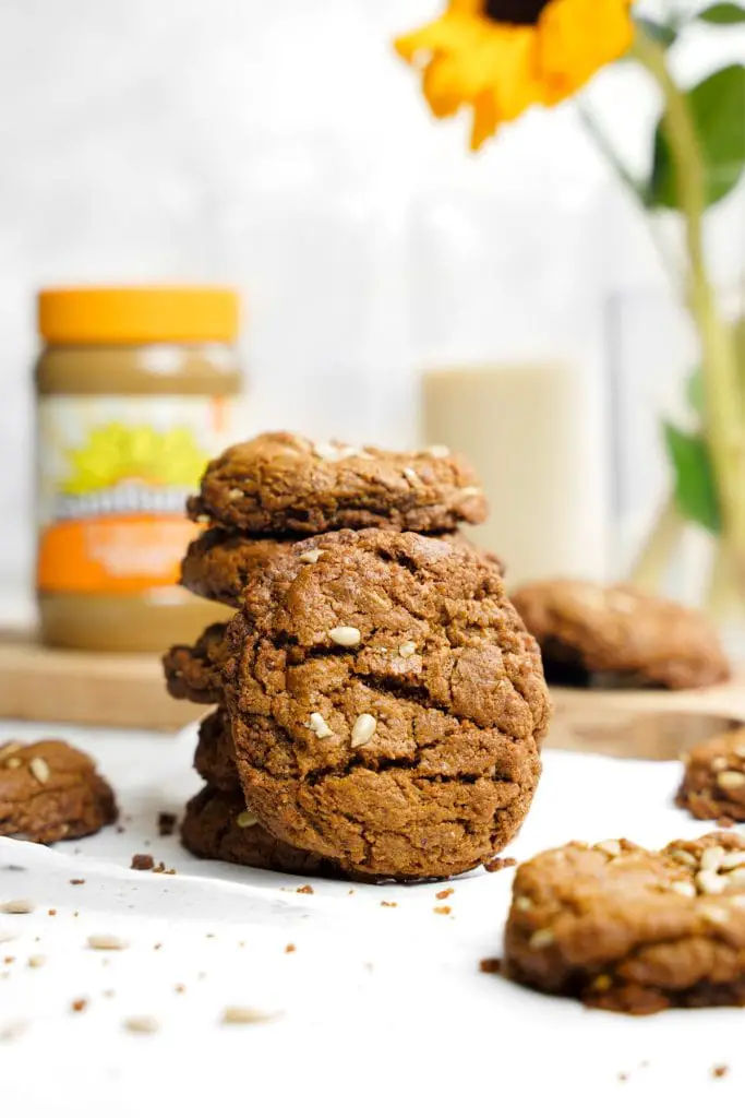 ¡Más de 30 mejores recetas de galletas de verano que son irresistiblemente buenas!