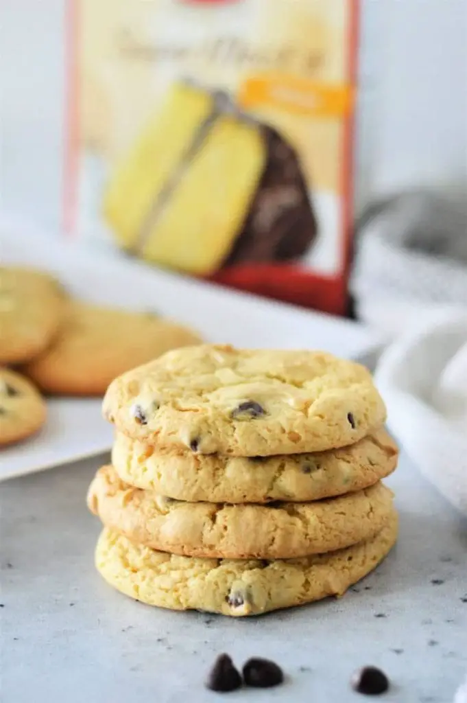 ¡Más de 30 mejores recetas de galletas de verano que son irresistiblemente buenas!