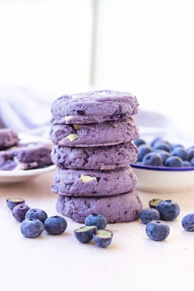 ¡Más de 30 mejores recetas de galletas de verano que son irresistiblemente buenas!