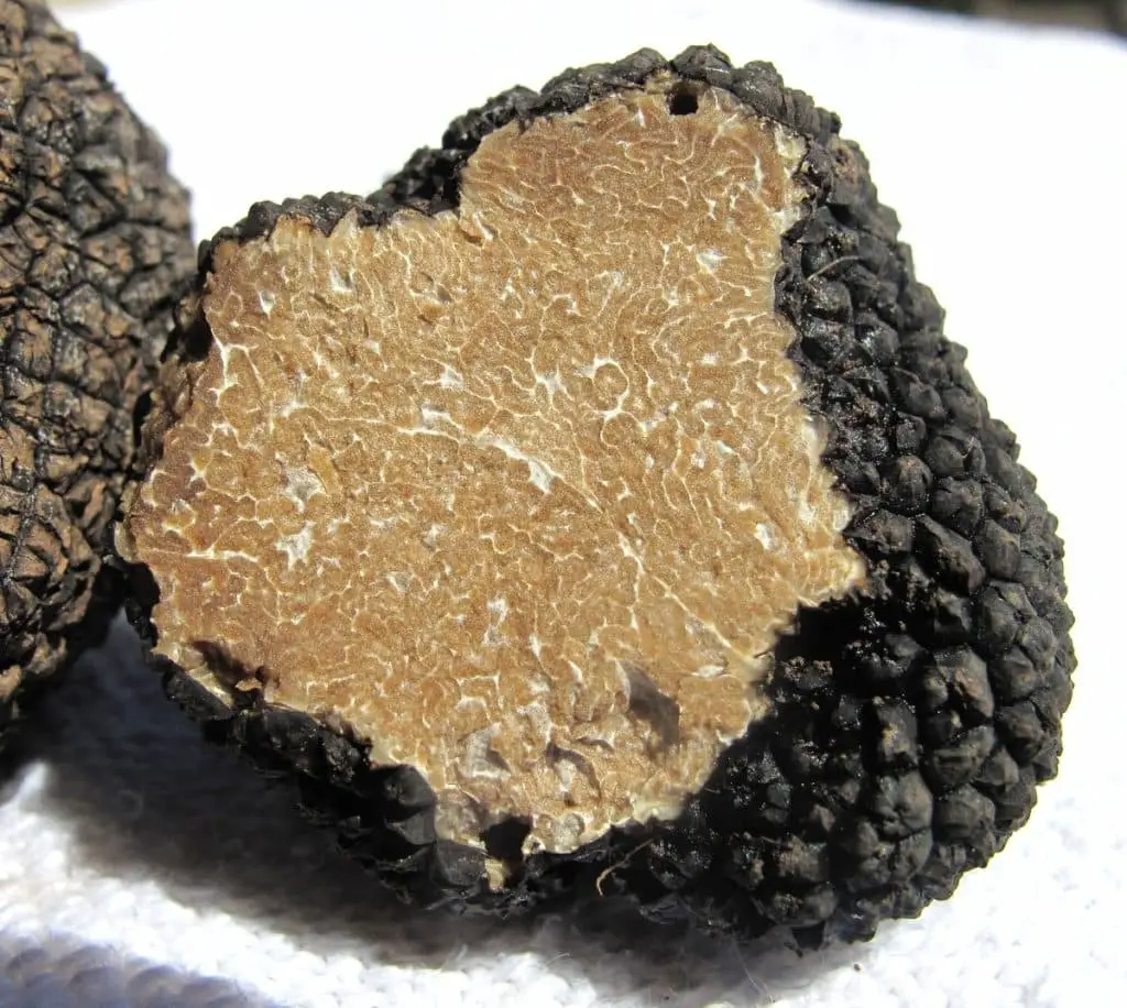 ¿A qué saben las trufas negras? ¿Las trufas saben bien? ¿A qué saben las trufas negras? ¿Las trufas saben bien?