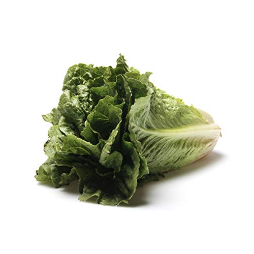 ¿A qué sabe el jugo de apio? Una revisión de la tendencia de los jugos ¿A qué sabe el jugo de apio? Una revisión de la tendencia de los jugos