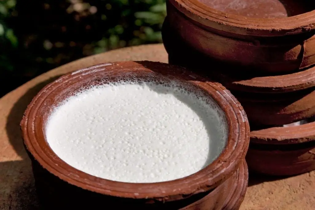 ¿Puedes calentar crema agria en el microondas? ¡Todo lo que debes saber! ¿Puedes calentar crema agria en el microondas? ¡Todo lo que debes saber!