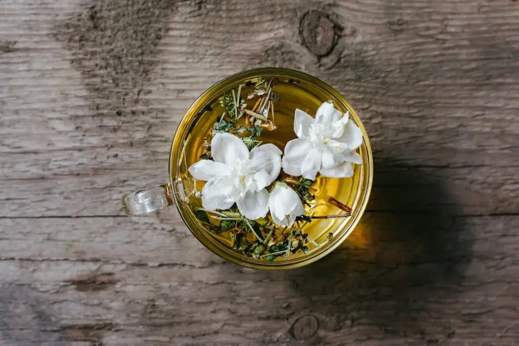 ¿A qué sabe el té de jazmín? ¿Es delicioso el té de jazmín? ¿A qué sabe el té de jazmín? ¿Es delicioso el té de jazmín?