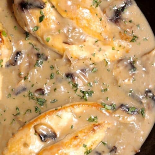 Receta de pollo cremoso con champiñones Receta de pollo cremoso con champiñones