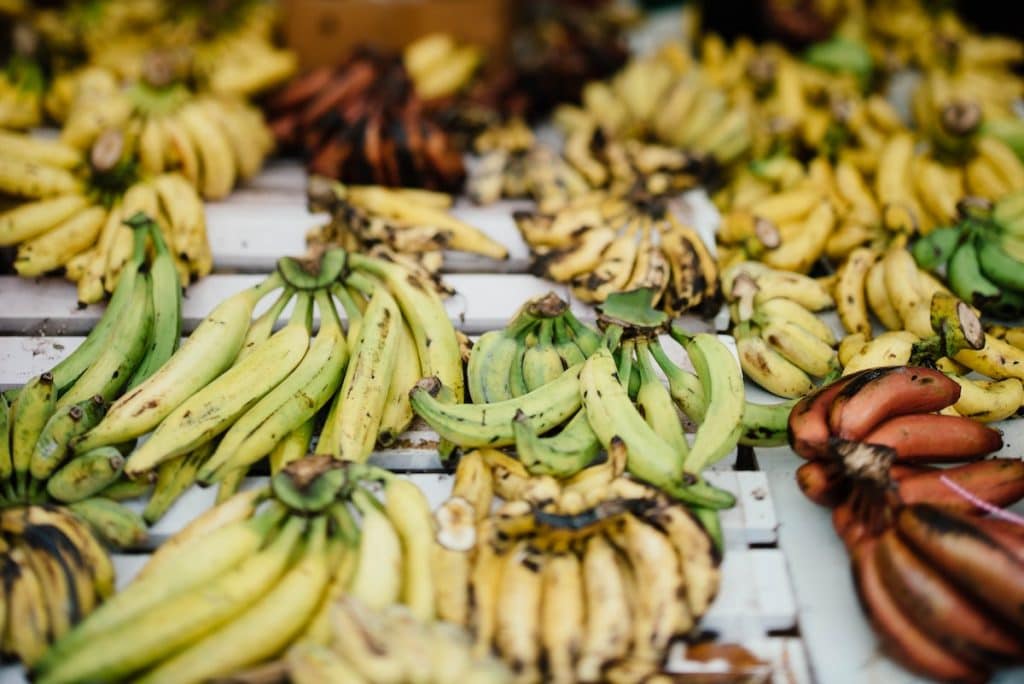 ¿A qué saben los plátanos? ¿Sabe a plátano? [9 Differences]