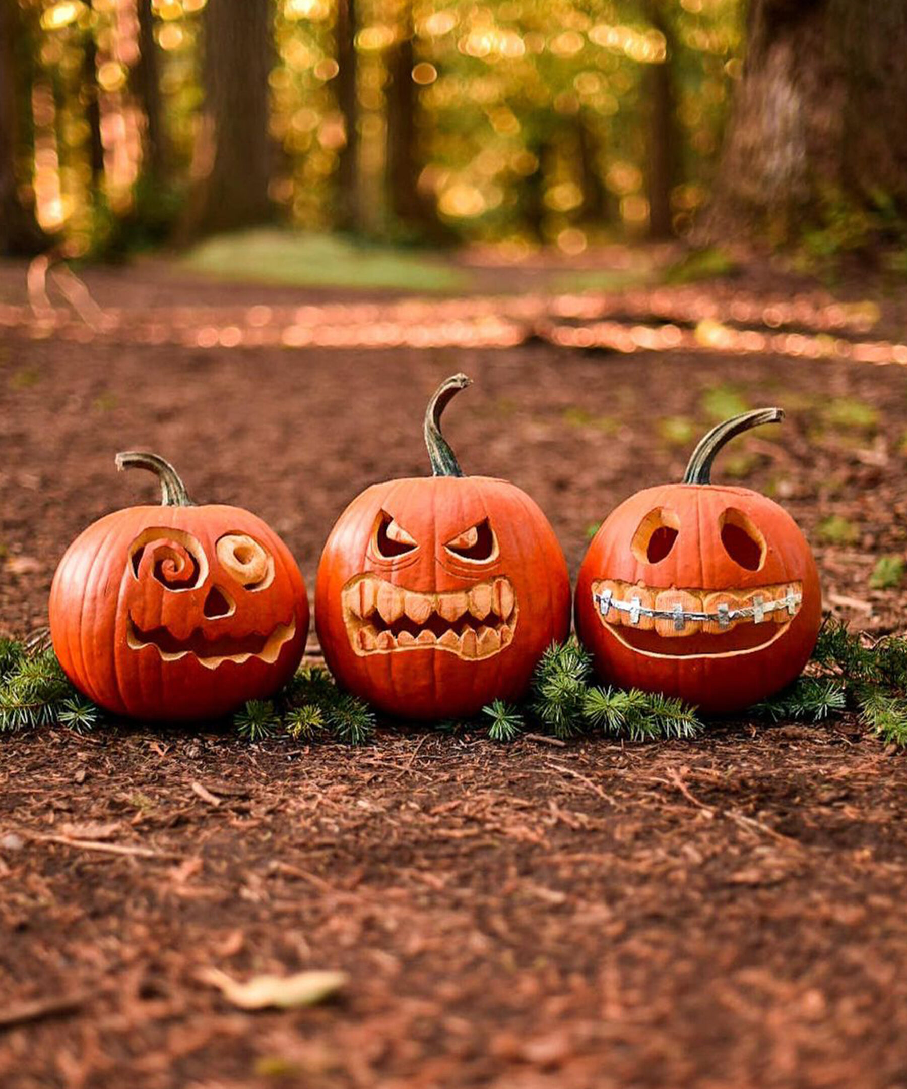 60 recetas de calabaza que demuestran que las calabazas no son solo para tallar