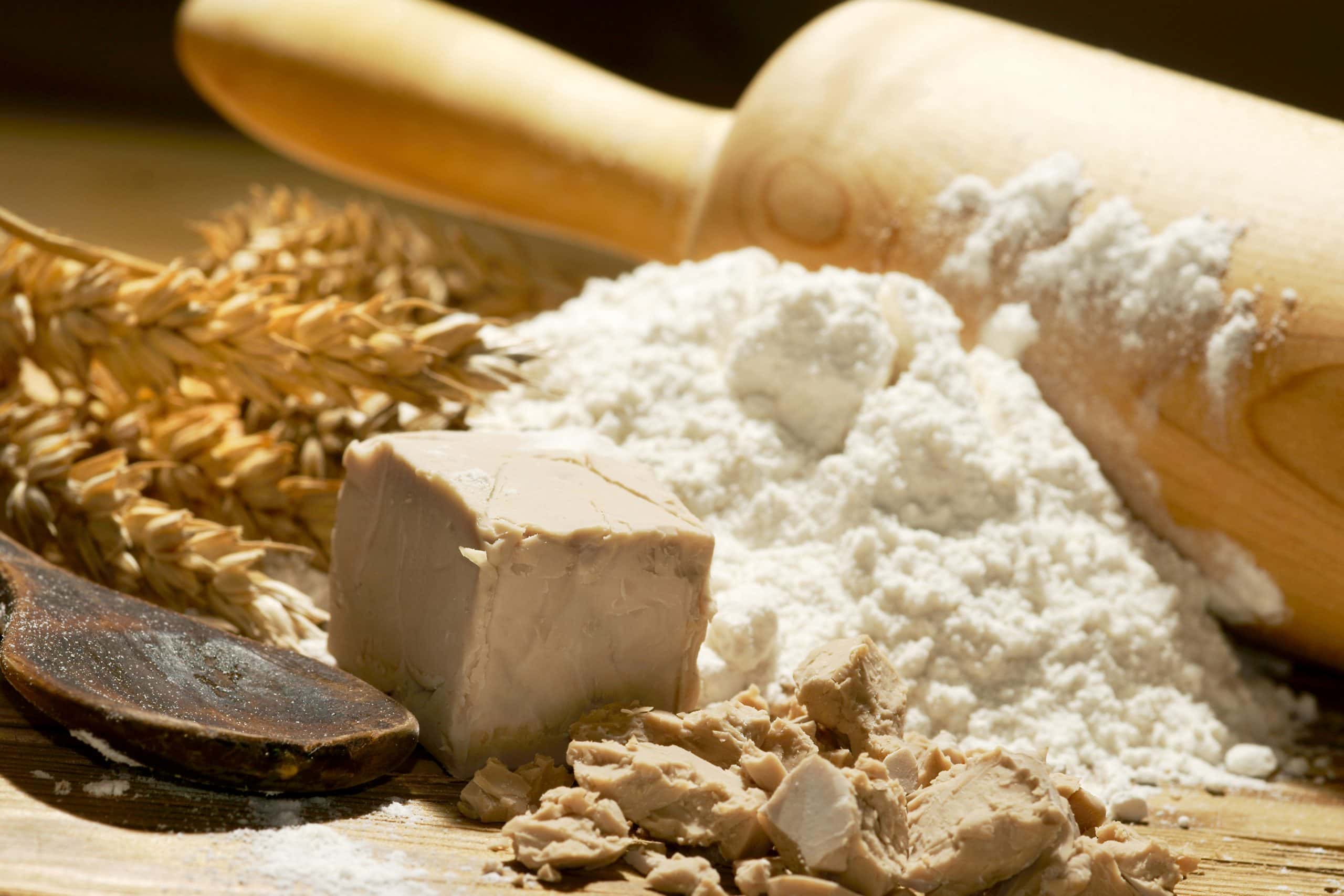 Cómo se elabora la levadura de panadería y qué tipo se utiliza