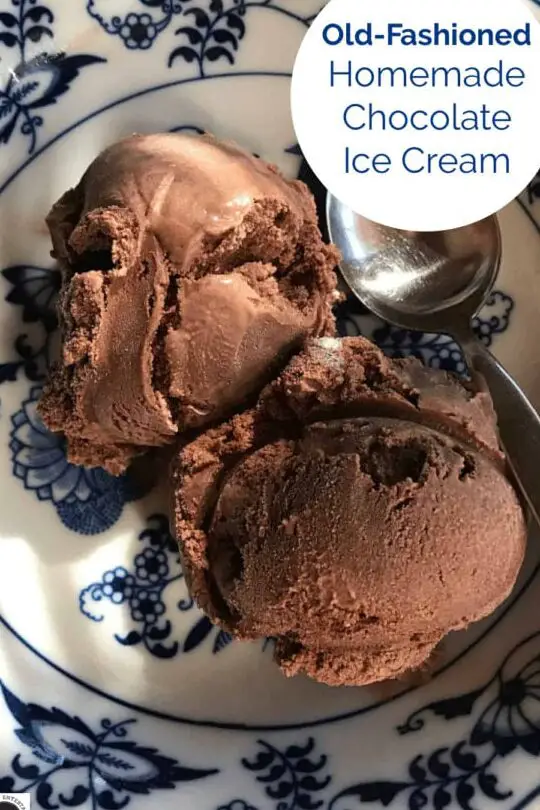 Helado de chocolate casero