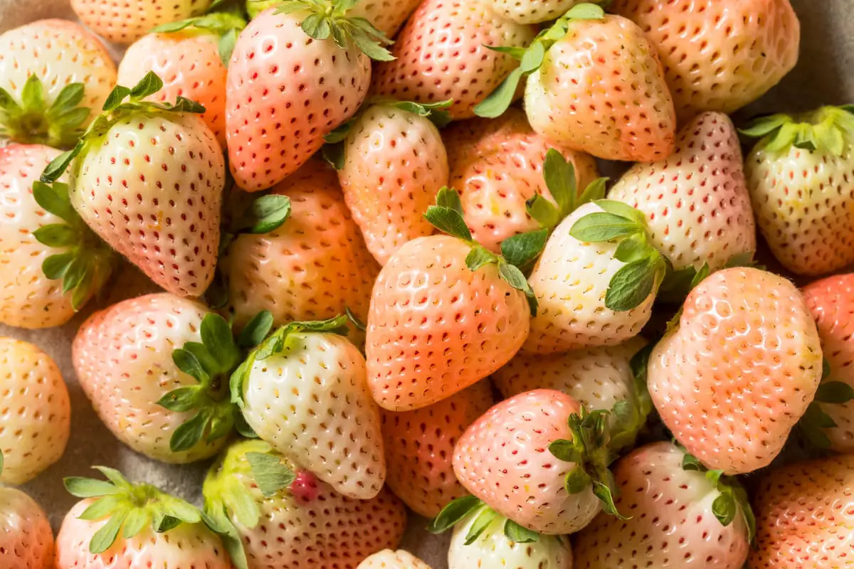 35 frutas que empiezan con P para llevar en tu cesta de picnic