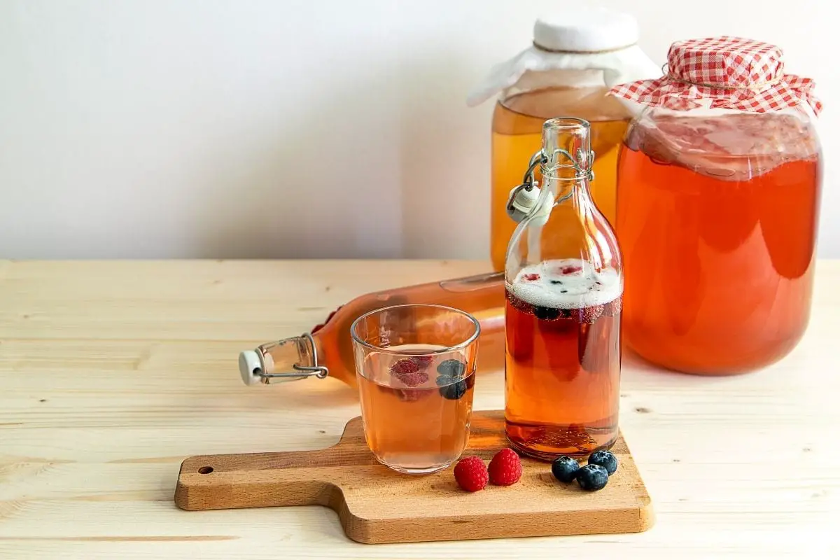 ¿A qué sabe la kombucha? ¿A qué sabe la kombucha?