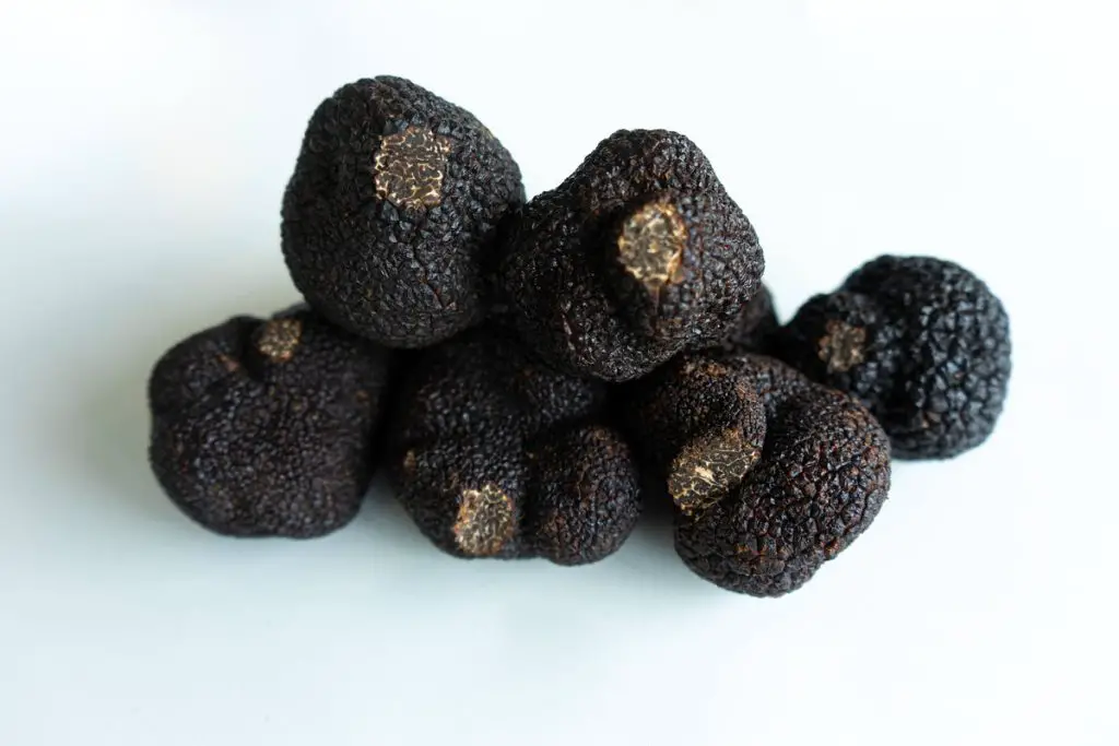 ¿A qué saben las trufas negras? ¿Las trufas saben bien? ¿A qué saben las trufas negras? ¿Las trufas saben bien?